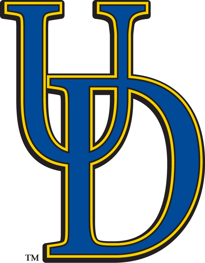 Delaware Blue Hens 2009-2018 Secondary Logo iron on transfers for clothing